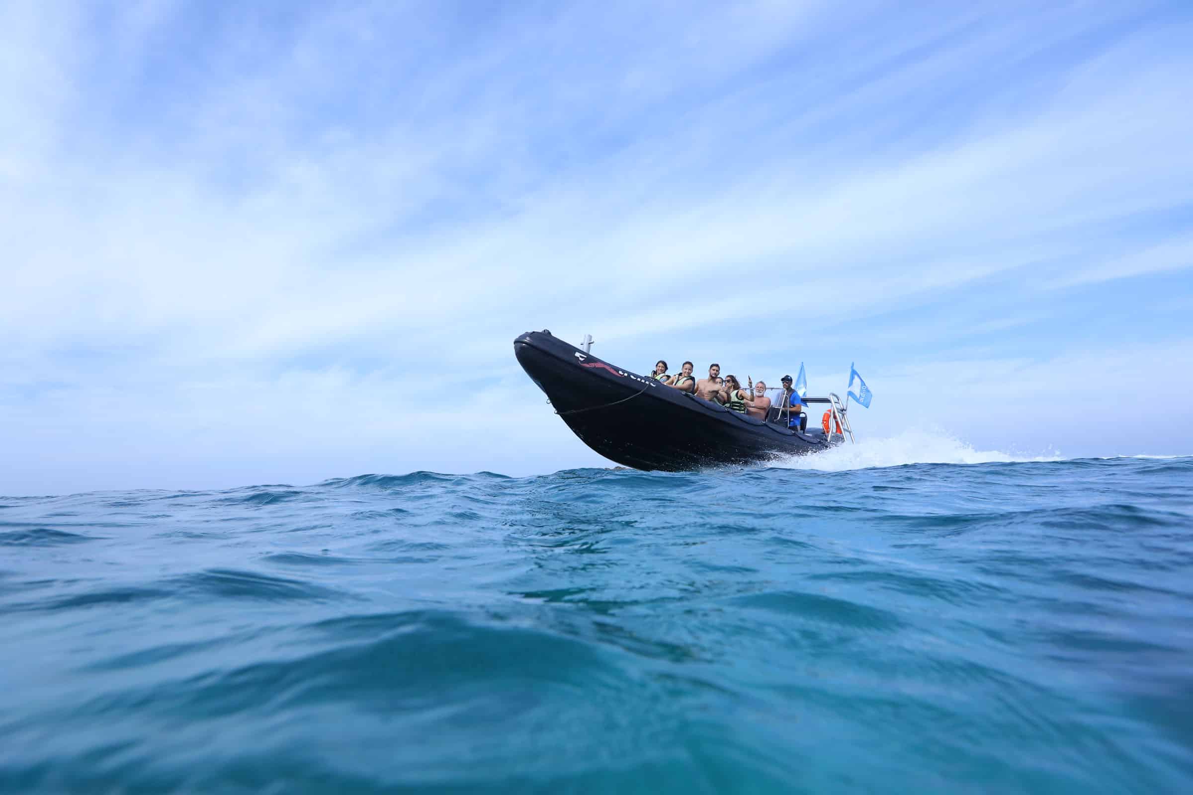 שייט טורנדט